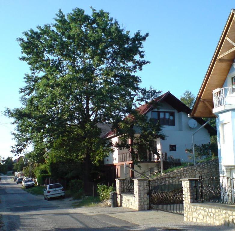 Budai Garden House Hévíz Camera foto