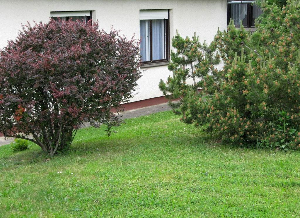 Budai Garden House Hévíz Camera foto