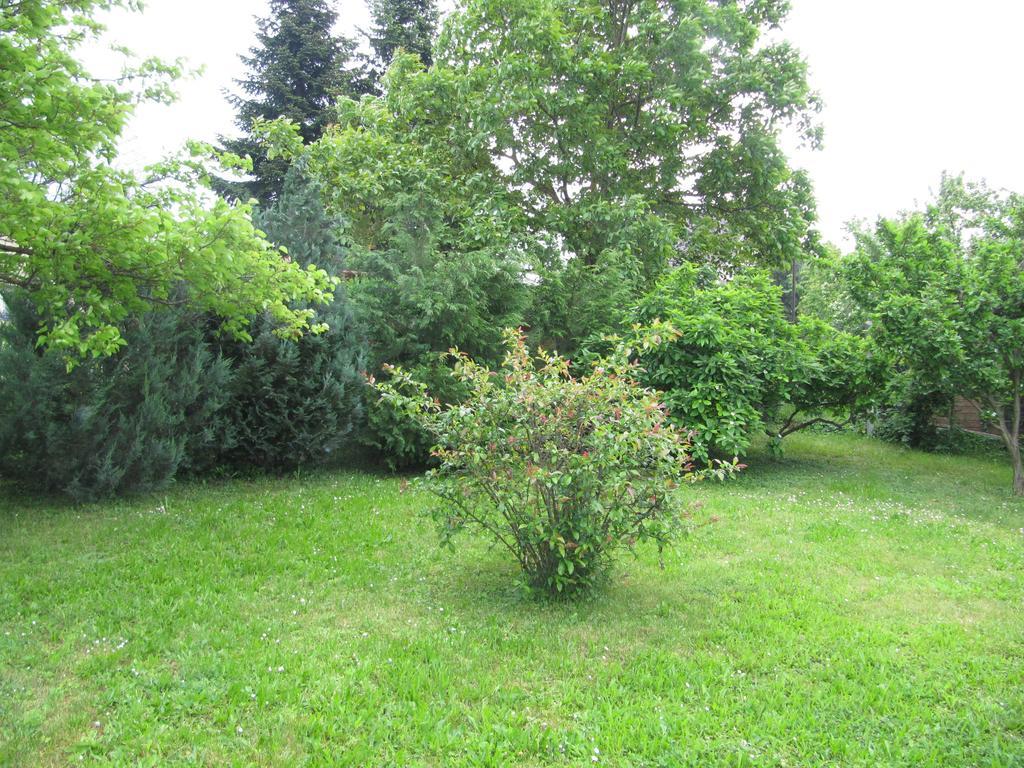 Budai Garden House Hévíz Camera foto